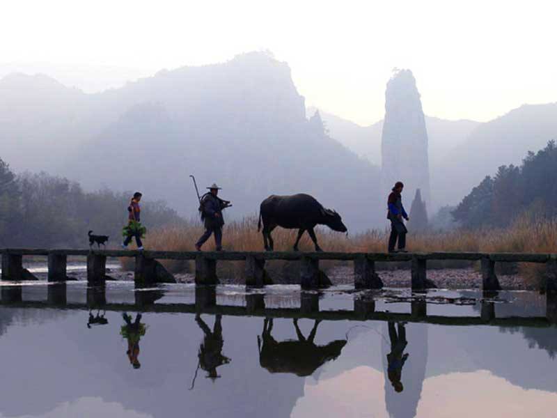 麗水仙都